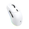 White Shark CADOR WGM-5020 rato para jogos, branco
