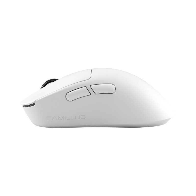 White Shark CAMILLUS WGM-9013 rato gaming, branco