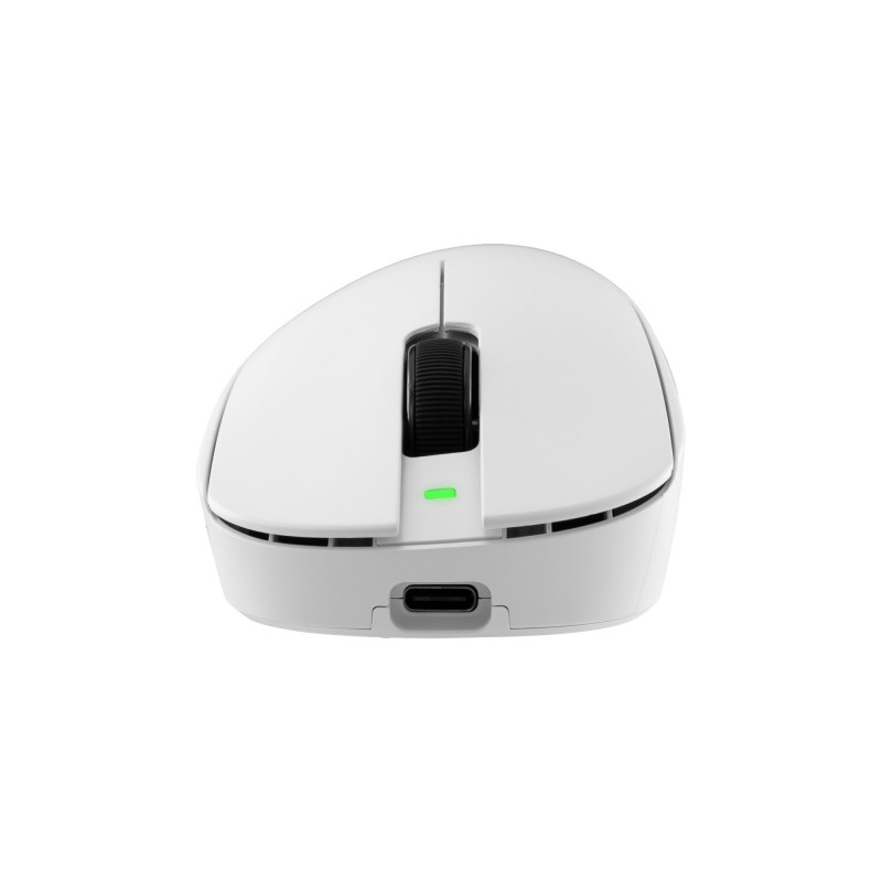 White Shark CAMILLUS WGM-9013 rato gaming, branco