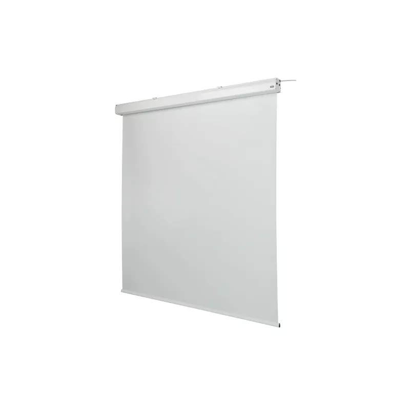 celexon Expert ecrã de projeção motorizado, 156" (396 cm), 230 V