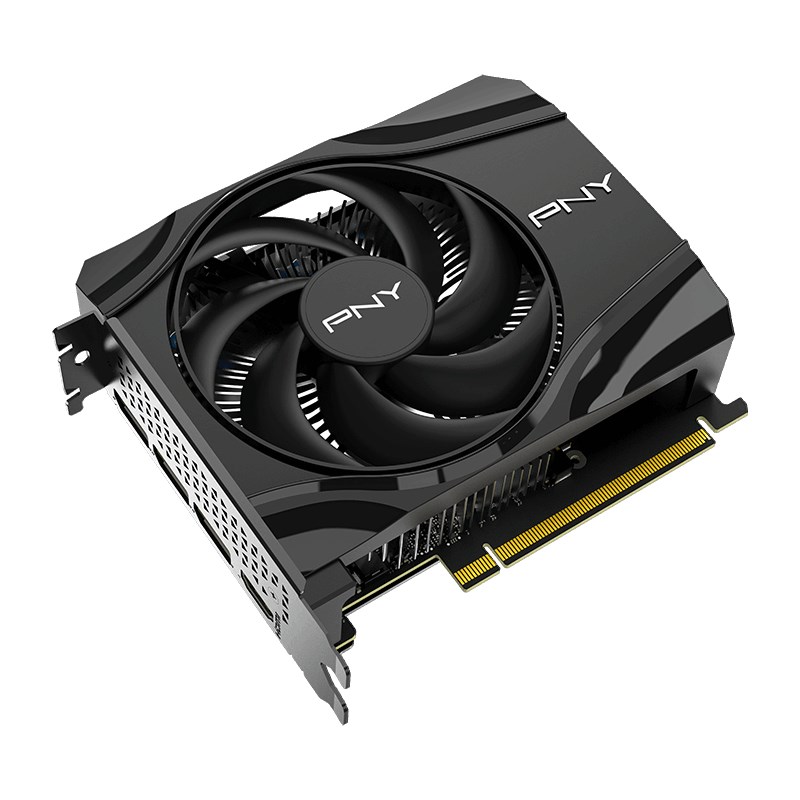 PNY GeForce RTX 5060 Single Fan placa gráfica, 8 GB GDDR7 (VCG50608SFXPB1)