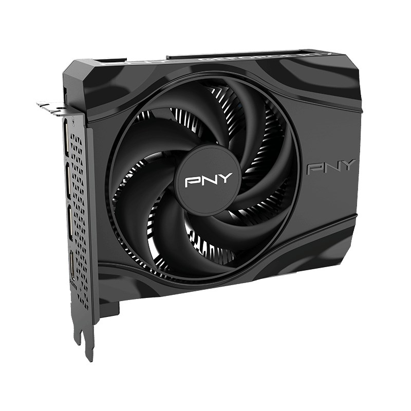 PNY GeForce RTX 5060 Single Fan placa gráfica, 8 GB GDDR7 (VCG50608SFXPB1)