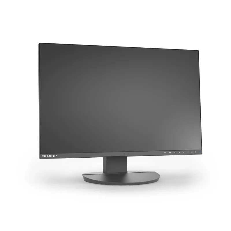 Sharp MultiSync EA241W monitor empresarial IPS de 24 polegadas, 1920x1200, preto