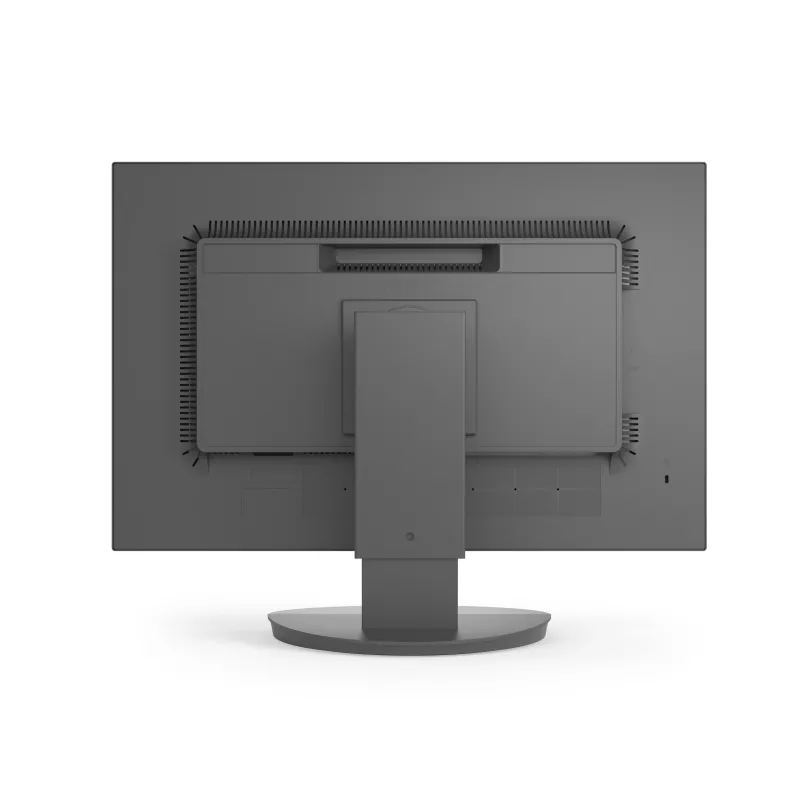 Sharp MultiSync EA241W monitor empresarial IPS de 24 polegadas, 1920x1200, preto