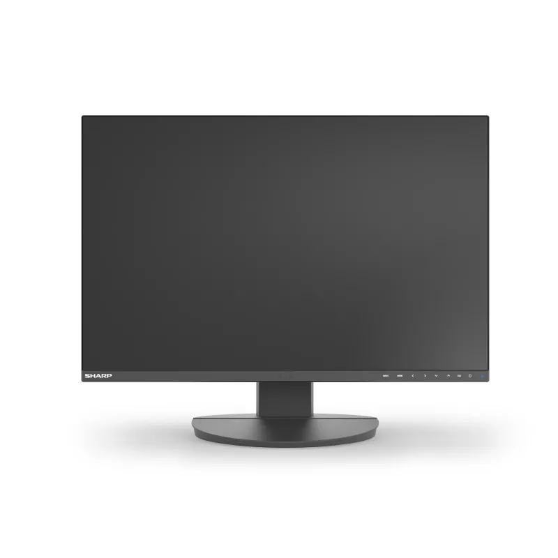 Sharp MultiSync EA241W monitor empresarial IPS de 24 polegadas, 1920x1200, preto