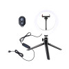 White Shark RL-08 MOONLIGHT-2 anel de luz LED, 21 cm