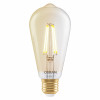 Osram SMART+ MATTER Filament Dimmable Classic Edison 53 824 lâmpada inteligente, dourada, E27, 6 W, branco quente, Wi-Fi
