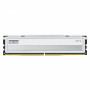 Módulo de memória Klevv Fit V KD5AGU880-56K300Q DDR5-5600 CL30 de 16 GB