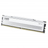 Módulo de memória Klevv Fit V KD5AGU880-56K300Q DDR5-5600 CL30 de 16 GB