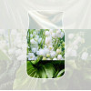 Yankee Candle Clean Cotton ambientador para carro para pendurar