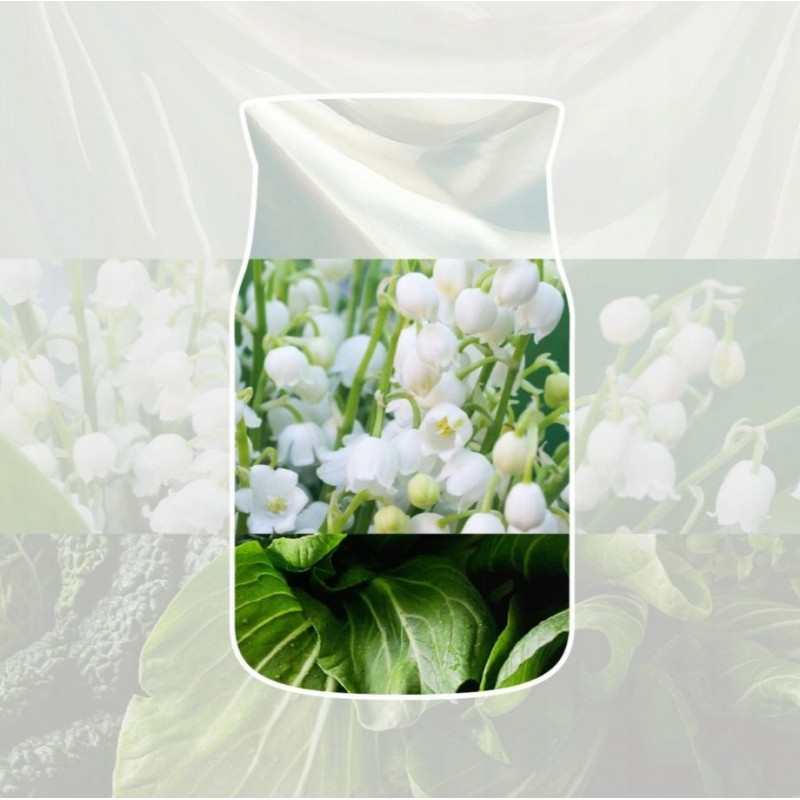 Yankee Candle Clean Cotton ambientador para carro para pendurar