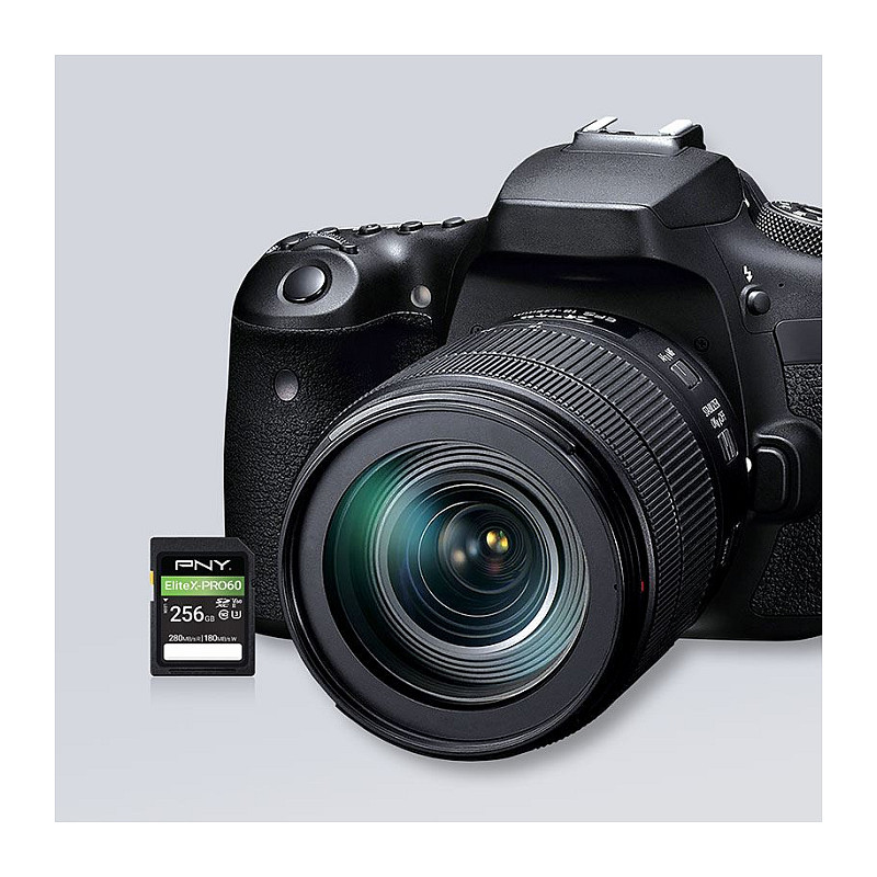 PNY EliteX-PRO60 cartão de memória SDXC 256 GB, UHS-II, Class 10, P-SD256V60280EXP6-GE