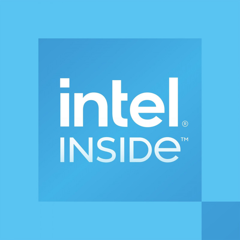Processador Intel 300 para desktop, 3,9 GHz, 2 núcleos, 4 threads, 6 MB de cache, FCLGA1700, OEM (CM8071505091904)