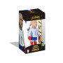 Minix WC Legends France - Fabien Barthez Figura Colecionável