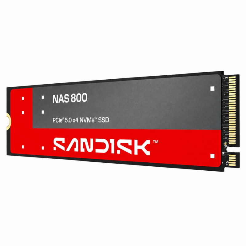 SSD interno SanDisk NAS 800 1.92 TB M.2 2280 NVMe Gen 5 (SDSNP2192TAN-000E0)