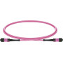 Cabo de ligação MPO-12 Lightwin OM4, 12F, UPC fêmea-fêmea, tipo B, 0,5 m, LSZH