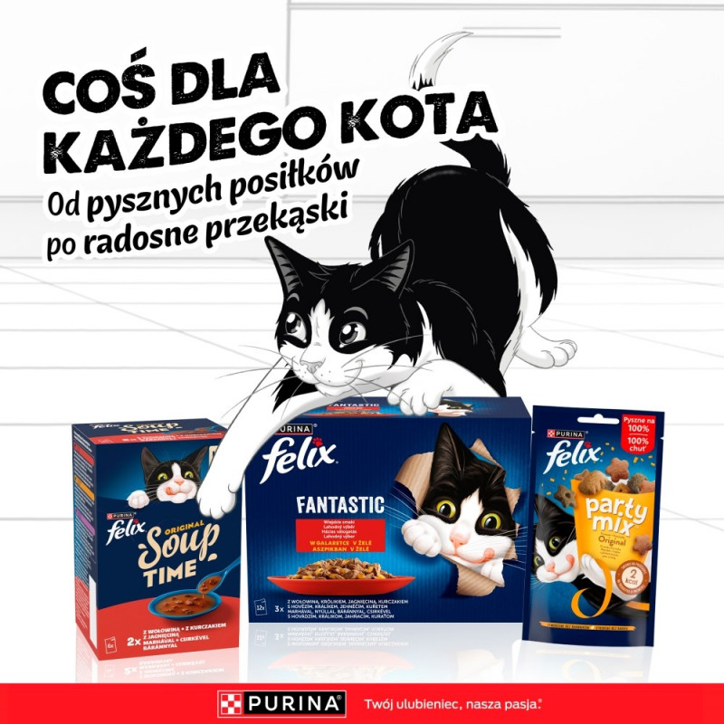 Purina Felix Agail Comida para Gato, Vaca, 44 x 85 g
