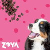ZOYA ColdPRO Beef comida seca para cães, 1 kg