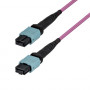 Cabo de patch de fibra multimodo MTP/MPO-12 StarTech.com OM4MTP12BOFNP5M (5 m)