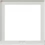 Gira 028966 Moldura adaptadora para System 55 TX44, branco puro