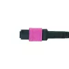 LogiLink MPO cabo de ligação 12 fibras OM4, MPO/PC F/F, Tipo B, 1 m (FM7LC01)