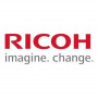 Ricoh D0BN2243 Revelador amarelo