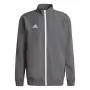 Casaco de apresentação adidas Entrada 22 Team Grey Four/preto S