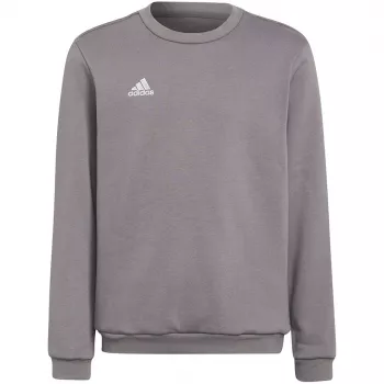 Sweatshirt adidas Entrada 22 cinzento jovem 140 cm