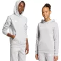adidas Entrada 26 Hoodie criança cinzento 152cm