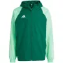 Casaco adidas Tiro 23 Competition All Weather homem verde IC4570