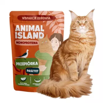 ANIMAL ISLAND Mono Codorniz Comida húmida para gatos 100g