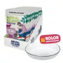 ANIMAL ISLAND NEW JELLY EVERYDAY 12x85g + tigela de alimentação