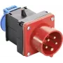AS SCHWABE Cabo adaptador CEE 400V 16A para Schuko, 5 polos para 2 polos, 0,3m, IP44, preto 60495