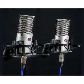 Par estéreo de microfones condensadores Aston Microphones Origin
