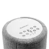 Audio Pro G10 Altifalante inteligente cinzento claro