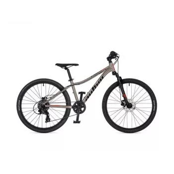 Bicicleta infantil Author A-Matrix 24D 24