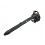 Soprador, aspirador e triturador de folhas 3-em-1 AWTOOLS 0,75 kW 1 PS 450 ml LBV340
