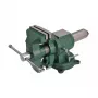 Torno AWTOOLS AW24295 100mm (4 polegadas) giratório ferro fundido alta resistência