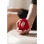 Beautifly Rose Glow Pleaser vibrador vermelho self love