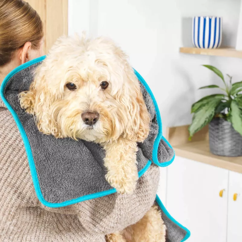 Beldray LA036157UFEU7 Anti-bac toalha de secagem para animais de estimação - cinzento