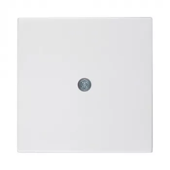Berker Placa central para saída de cabo, branco polar (55x55mm, IP20, encastrar) - 10198989