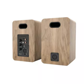 Blaupunkt BS50OK coluna de chão 2 vias 50W RMS castanha