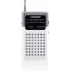 Blaupunkt PR4WH rádio portátil AM/FM cinzento