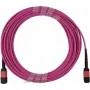 Cabo de patch MPO-MPO multimodo OM4 BlueOptics Infortrend 9370FC40GCAB1-0030 2 metros