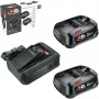 Bosch 18V Starter Set 2 x 2,5 Ah baterias + carregador AL 18V-44 (1600A031T5)