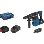 Bosch Professional 18V Martelo perfurador sem fio SDS-Plus 5,5 Ah Li-Ion (061191000F)