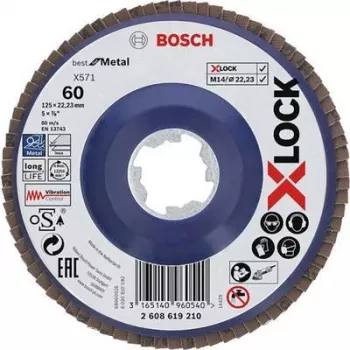 Bosch 2608619210 Disco abrasivo 125 mm, grão 60