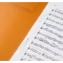 BRUNNEN FACT! pasta de relatório translúcida verde DIN A4 polipropileno 150 folhas