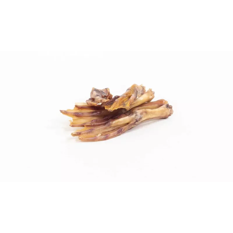 BULT patas de pato petisco para cães – artigo de mastigar natural seco ao ar, 100g