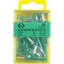 C.K Tools T3819A 508 Rebites cegos 4,8 x 19 mm alumínio/aço cabeça cónica (50 unid.)